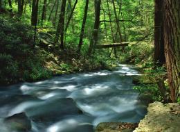 Rocky Gap Run