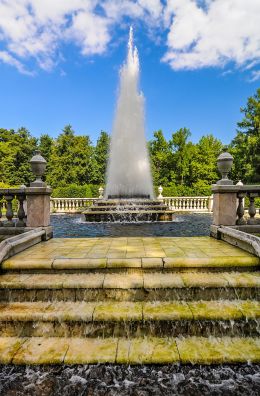 Fountain in Petergof,  Saint Petersburg