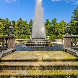 Fountain in Petergof,  Saint Petersburg Picture