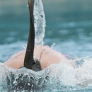 water fun 2 photography contest