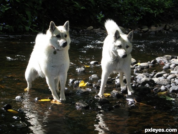 River Fun