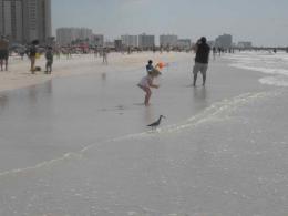 On the Beach