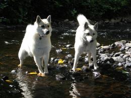 River Fun