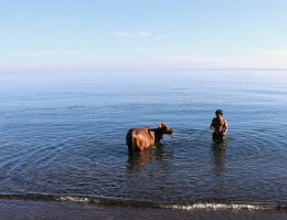 Entry number 108754 Man bathing his cow in sea waters, Bali