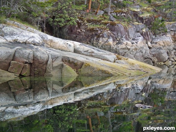 Rocks and Trees