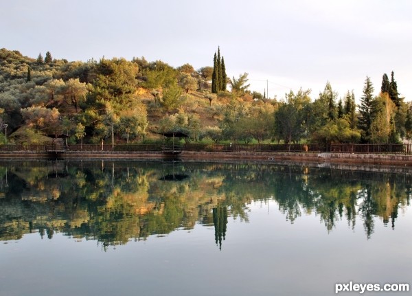 in the lake