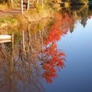 water reflections photography contest