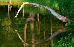 Waterlogged