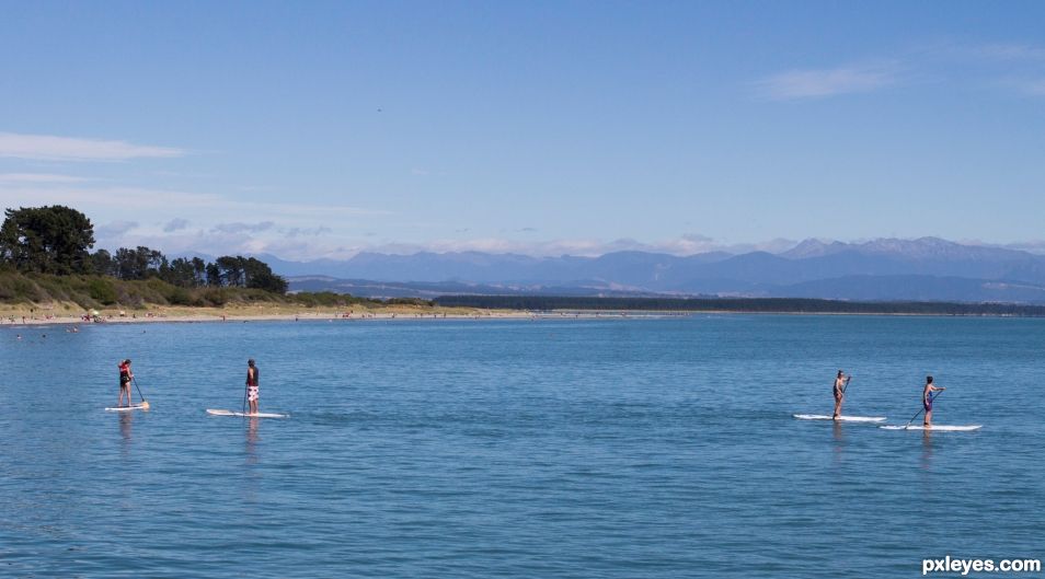 paddle boards