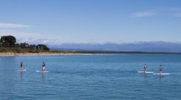 paddle boards