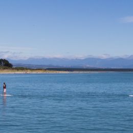 paddleboards