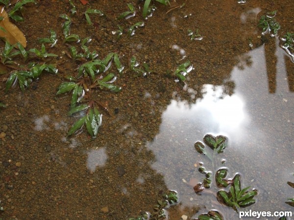 Water, Sunlight