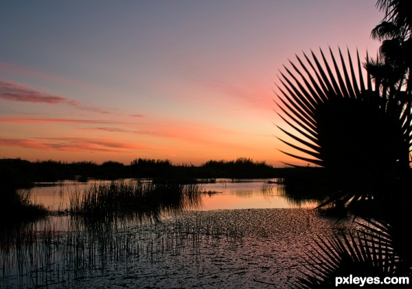 Evening Lagoon