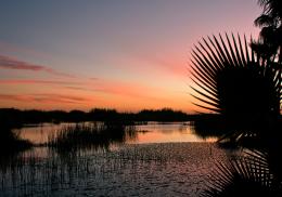 Evening Lagoon