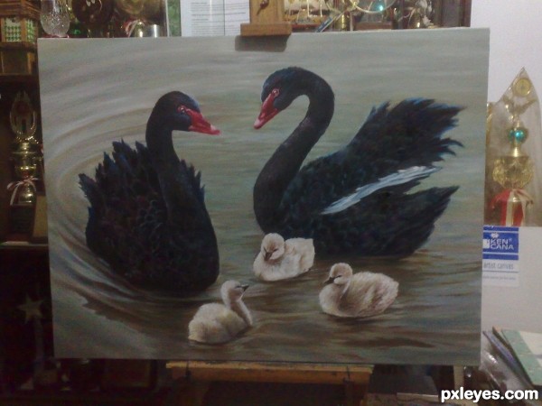 Creation of Family Matters: Step 3