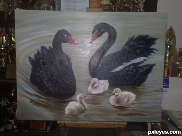Creation of Family Matters: Step 4