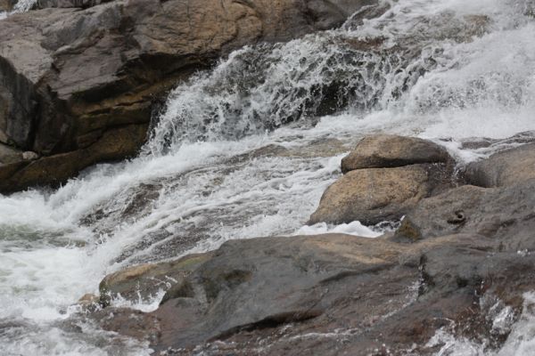 Rolling over the rocks