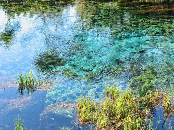 Te Waikoropupu Springs