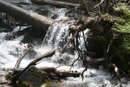 Mountain Stream