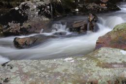 Dartmoor Picture