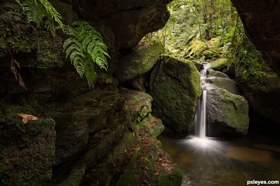 Rainforest cascade