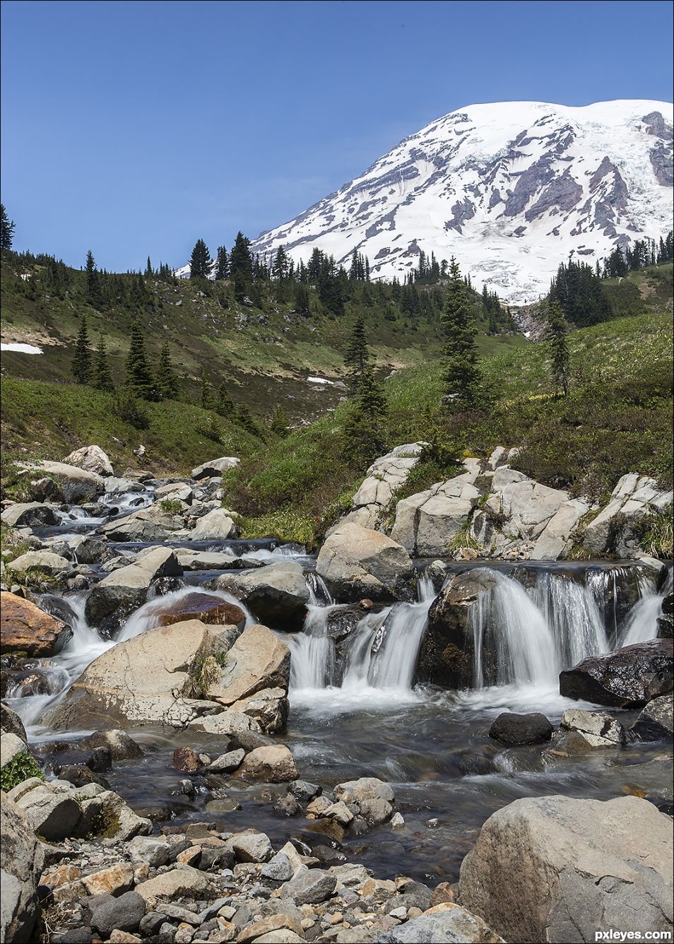 Mt Rainier