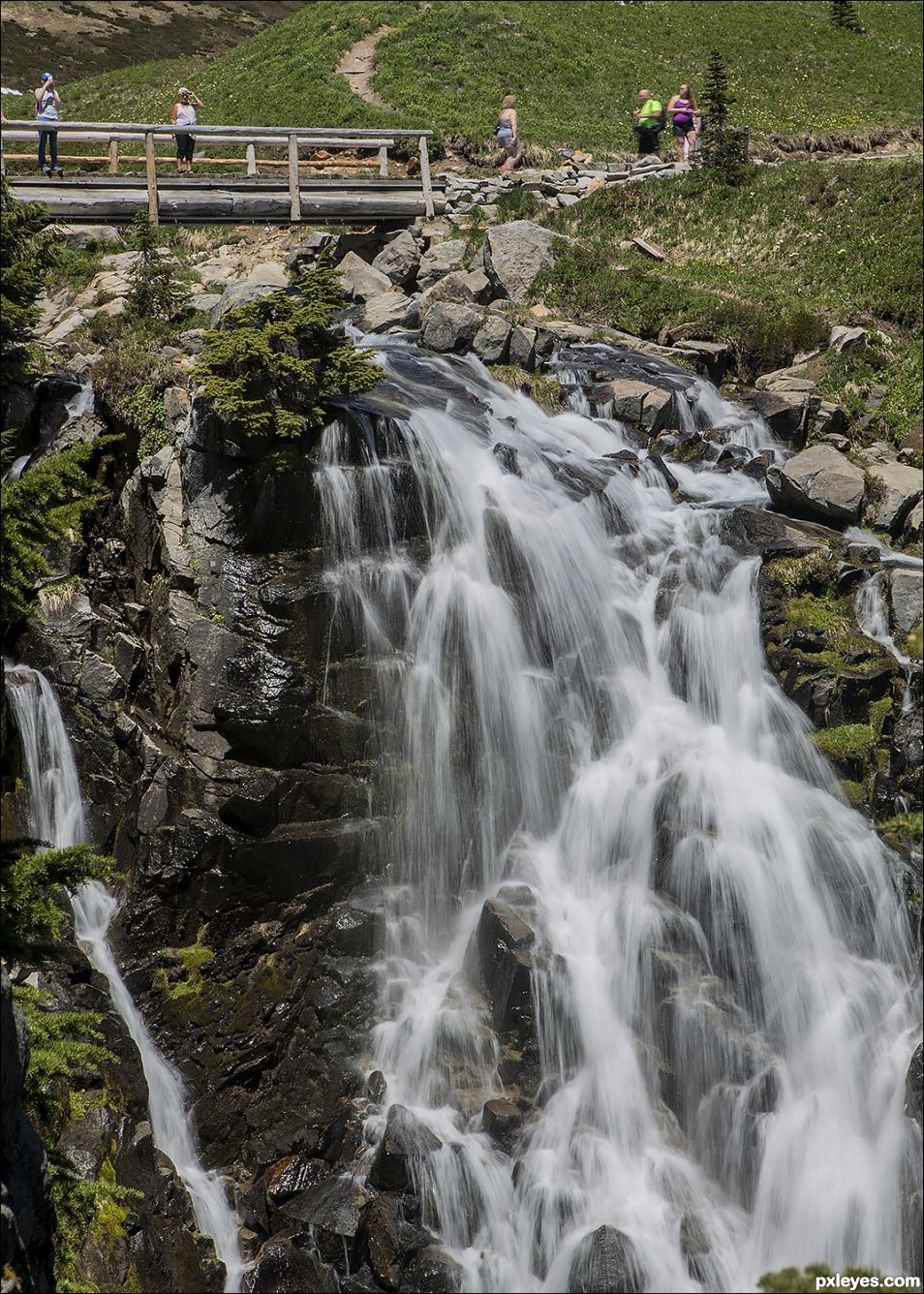 Myrtle Falls