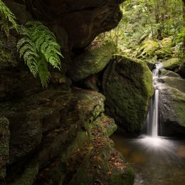 Rainforest cascade Picture