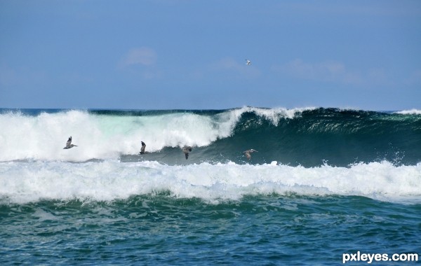 Pipeline Flight