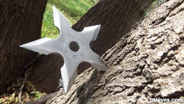 throwing star