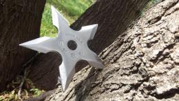 throwing star