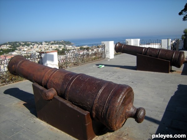 Cannons