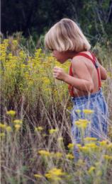 stop & smell the flowers   