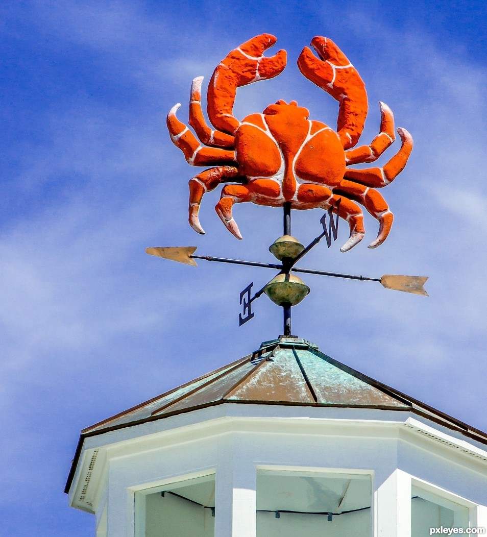 crabby weather vane