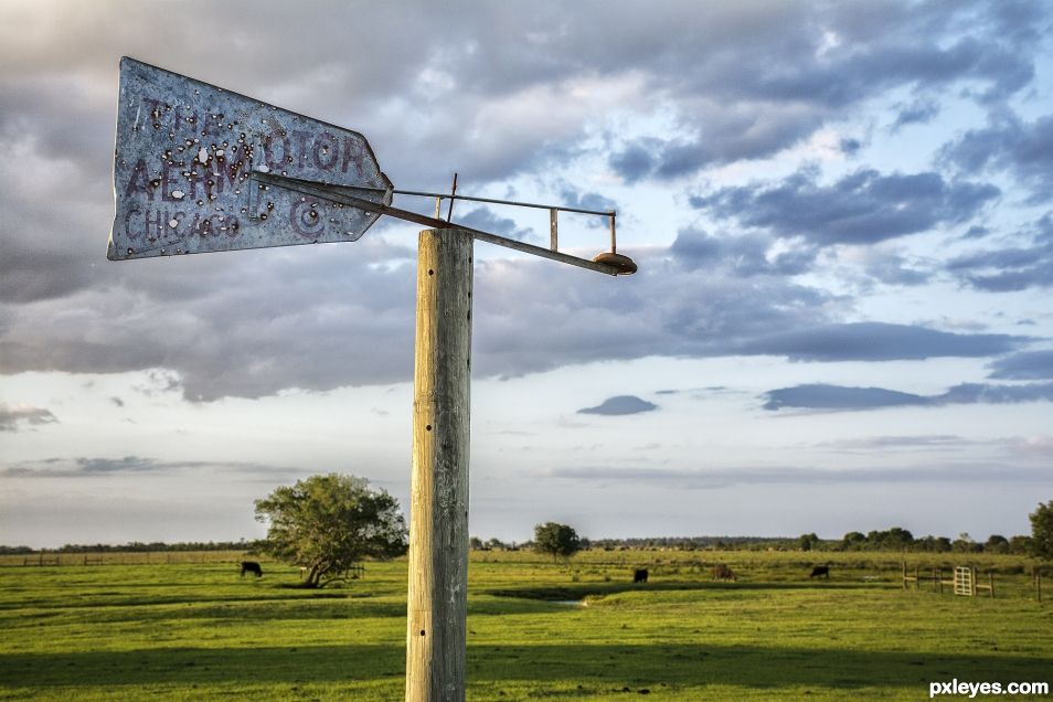 Wind Vane