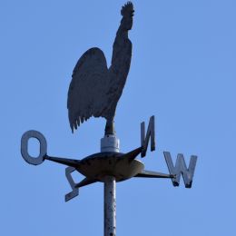 GermanWeathercock