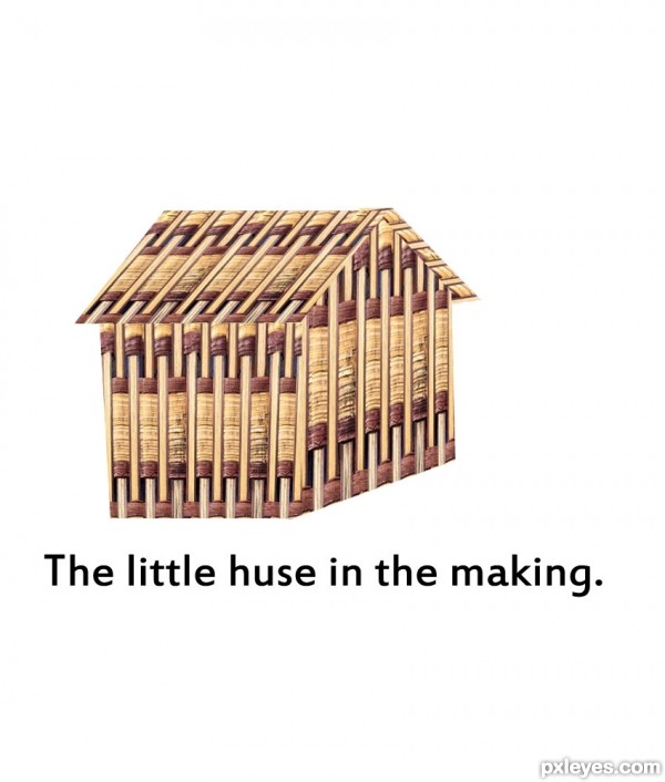 Creation of Where Little Birds Live: Step 4