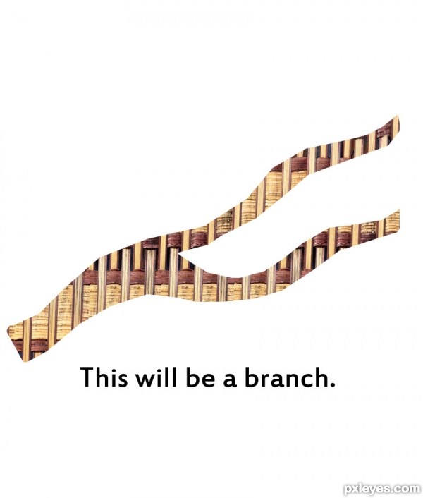 Creation of Where Little Birds Live: Step 6