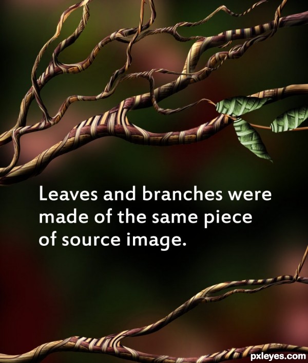 Creation of Where Little Birds Live: Step 9