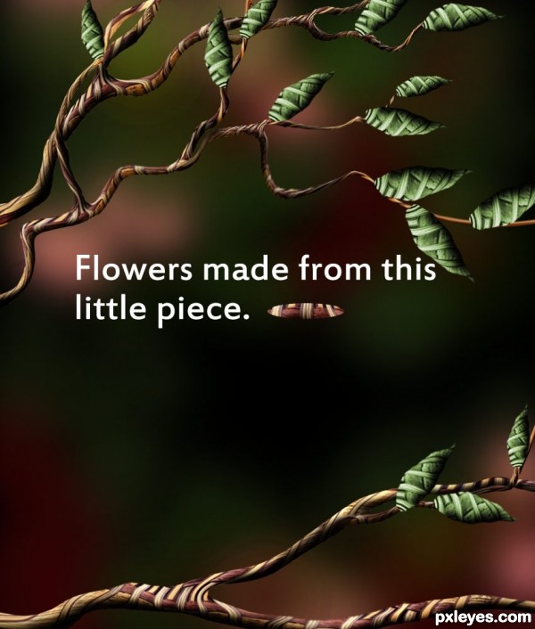 Creation of Where Little Birds Live: Step 10