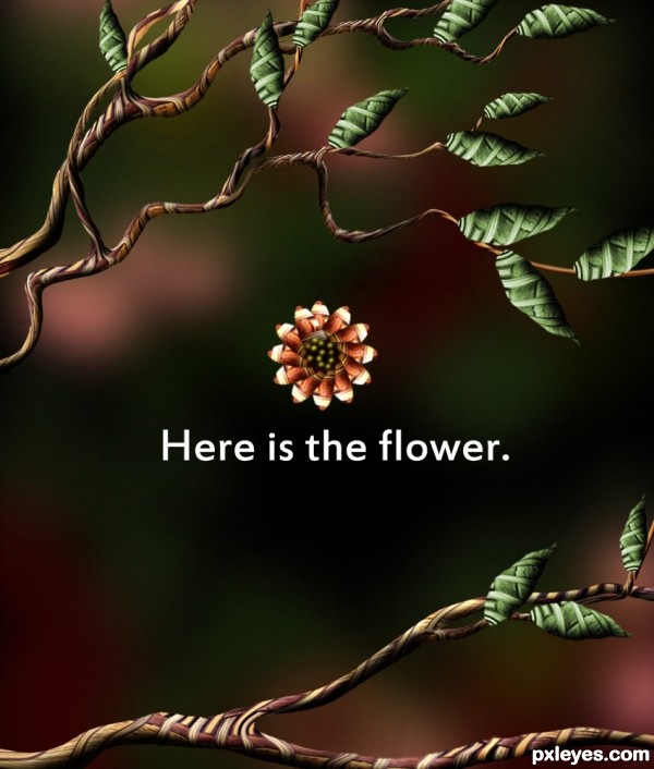 Creation of Where Little Birds Live: Step 11