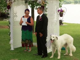 Waiting for the Bride