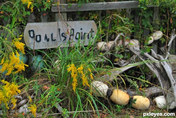 Buoy Among the Weeds