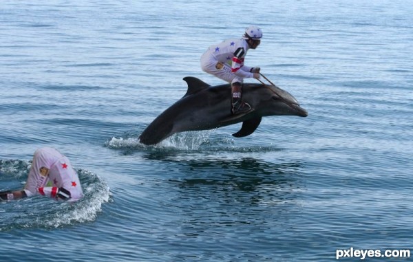 Dolphin Derby