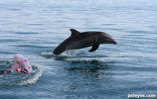 Creation of Dolphin Derby: Step 4