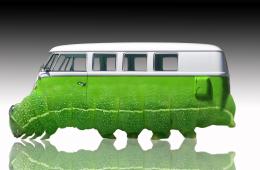 CaterpillarVan