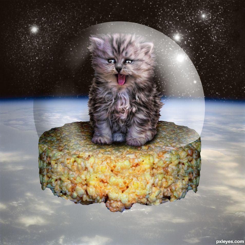 Creation of Kitten on a Rice Krispie Treat in Space: Final Result