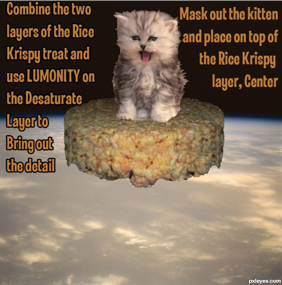 Creation of Kitten on a Rice Krispie Treat in Space: Step 7