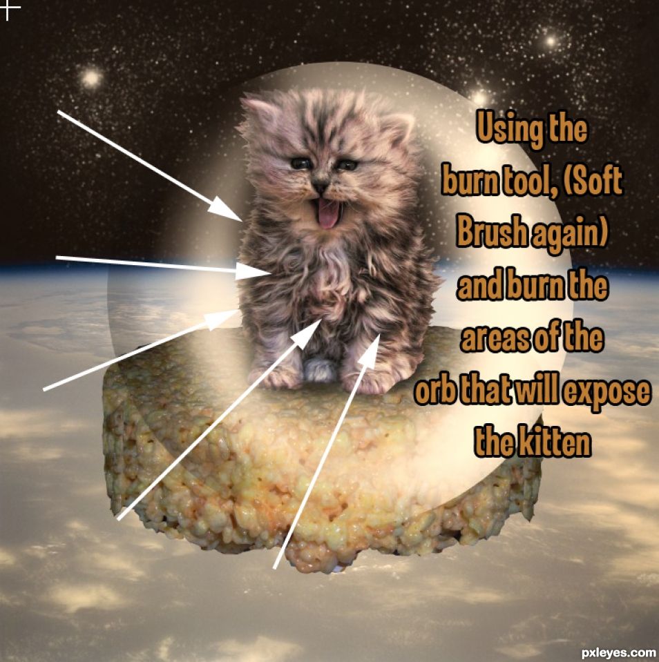 Creation of Kitten on a Rice Krispie Treat in Space: Step 13