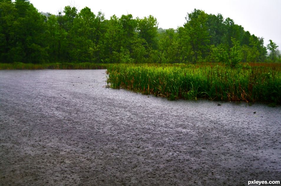 Rain on the River